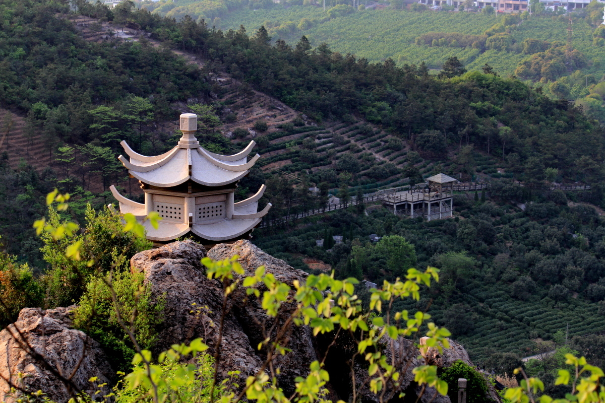 与秋爽的树山之行(部分留园)四_苏州摄友会论坛_电脑