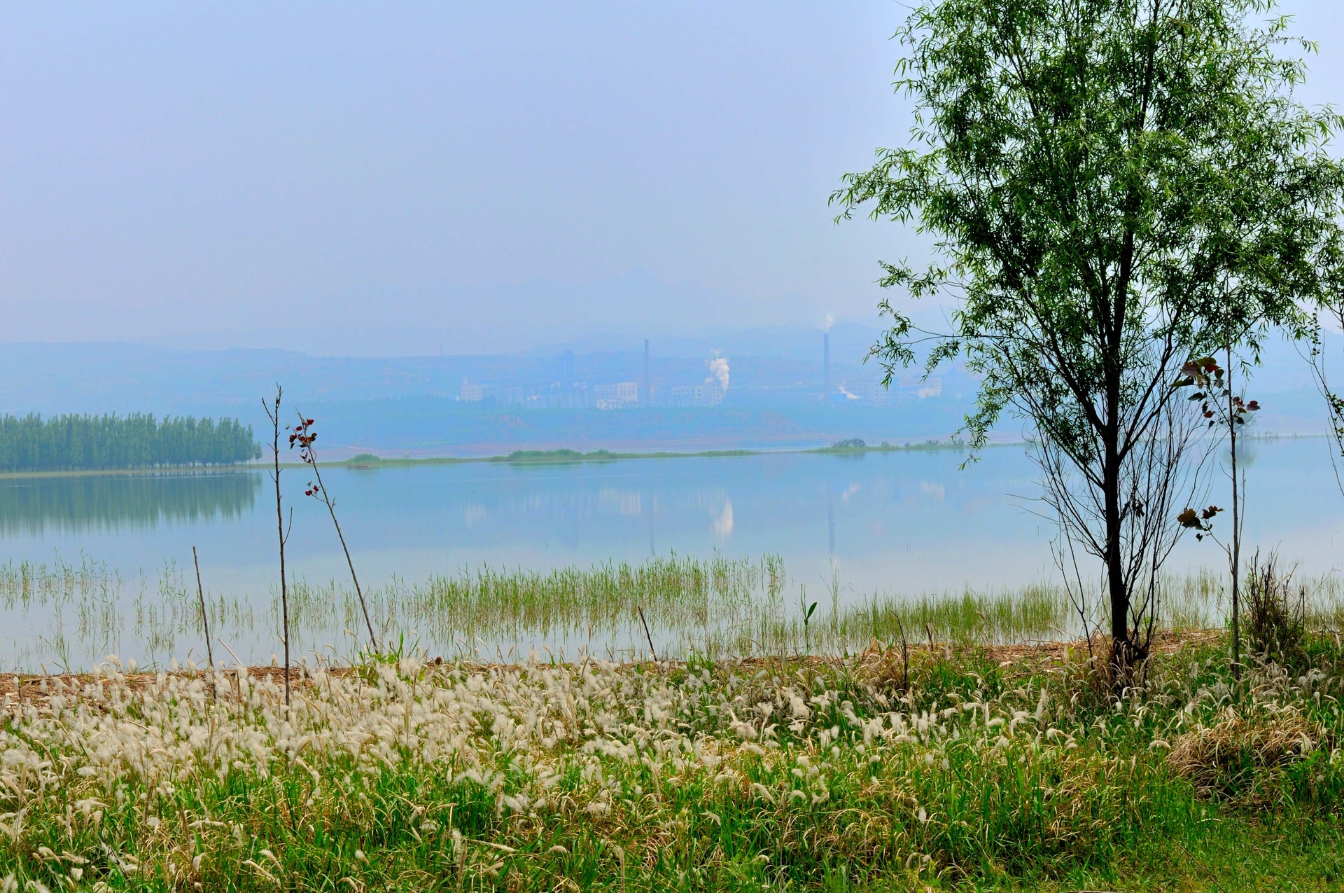 尼康50/1.4g拍风景3