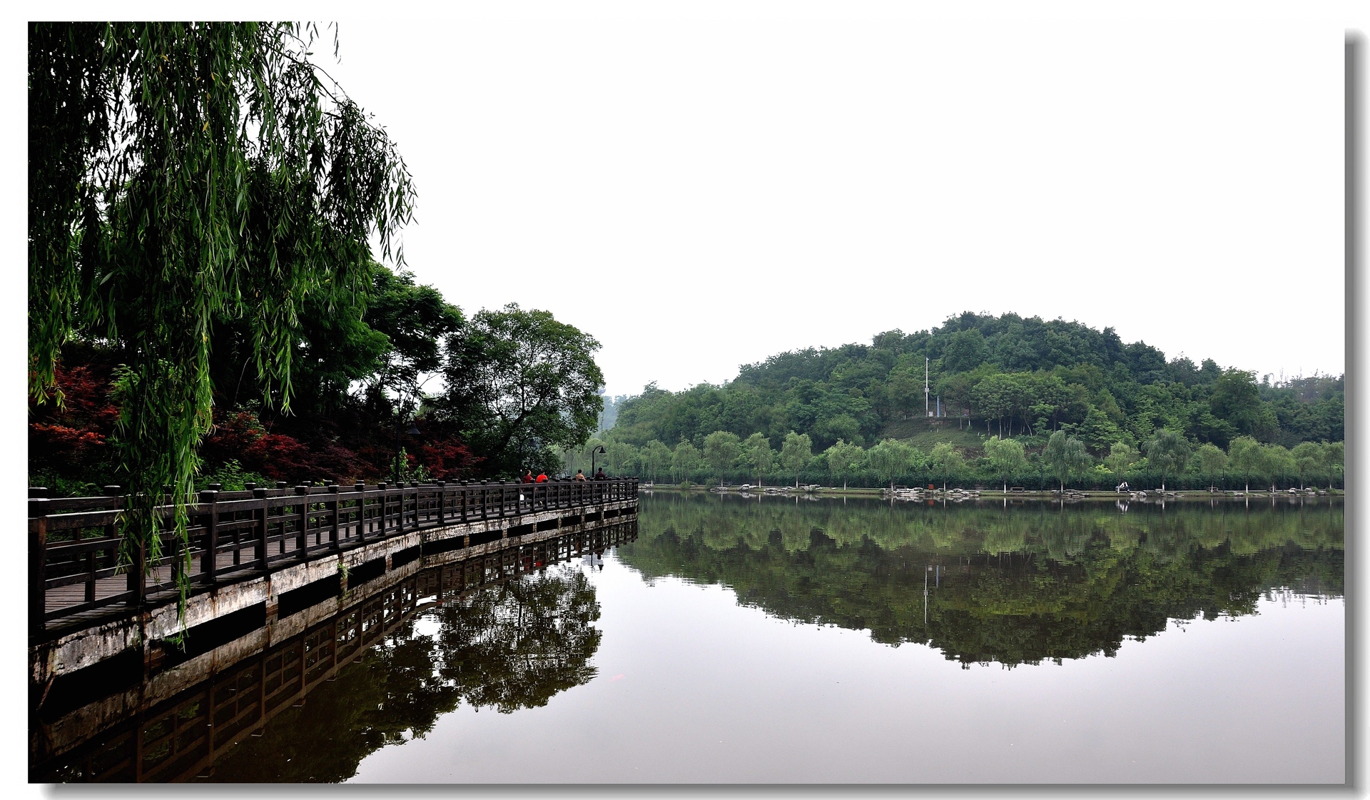 重庆大学虎溪校区风景