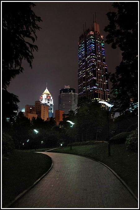 上海城市的夜晚街景