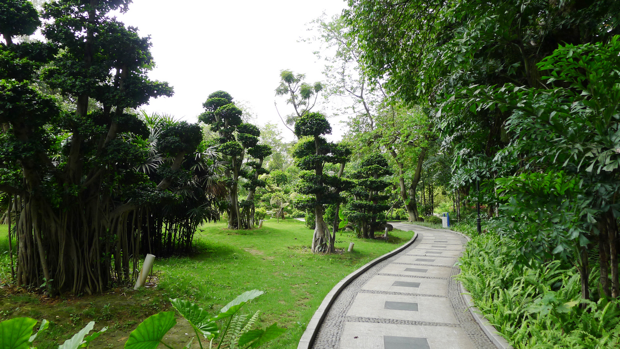 绿城南宁好风光(更新-南湖公园景观)