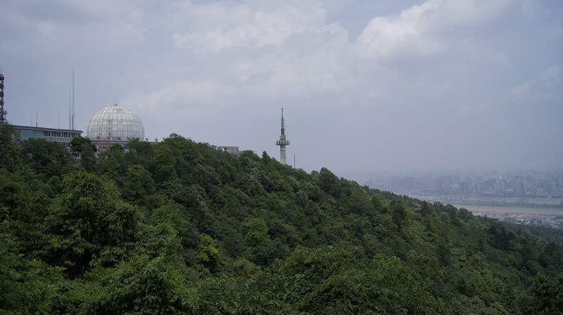 顺顺全家游岳麓山