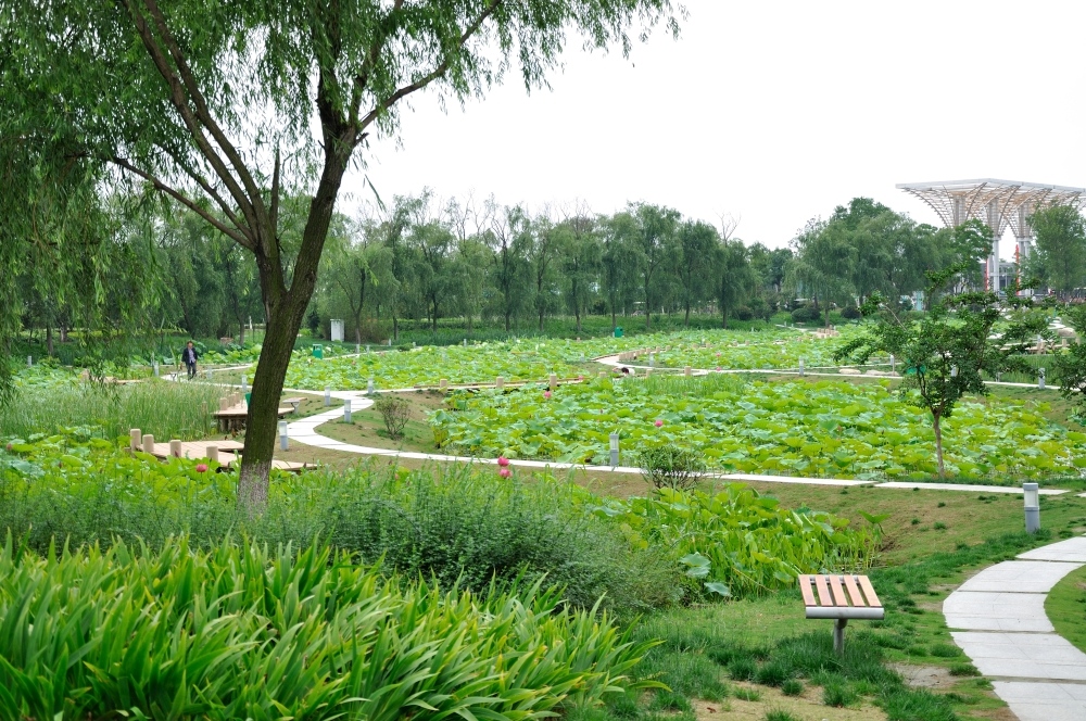 江苏泰州园博园小景