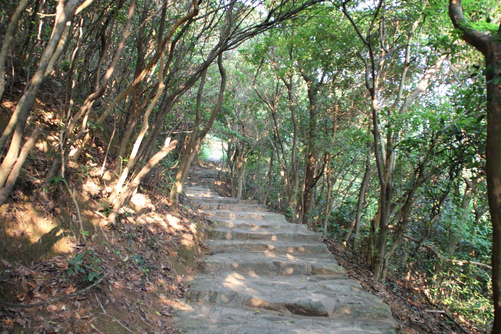 到深圳横岗园山风景区爬山