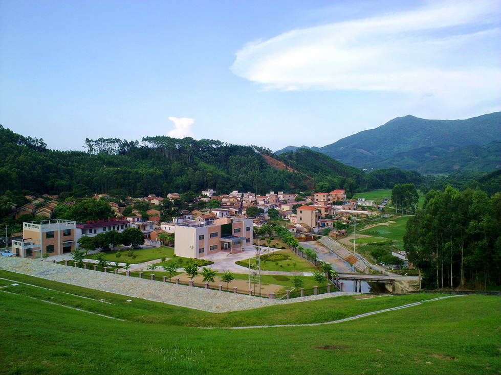 高明杨和西坑村