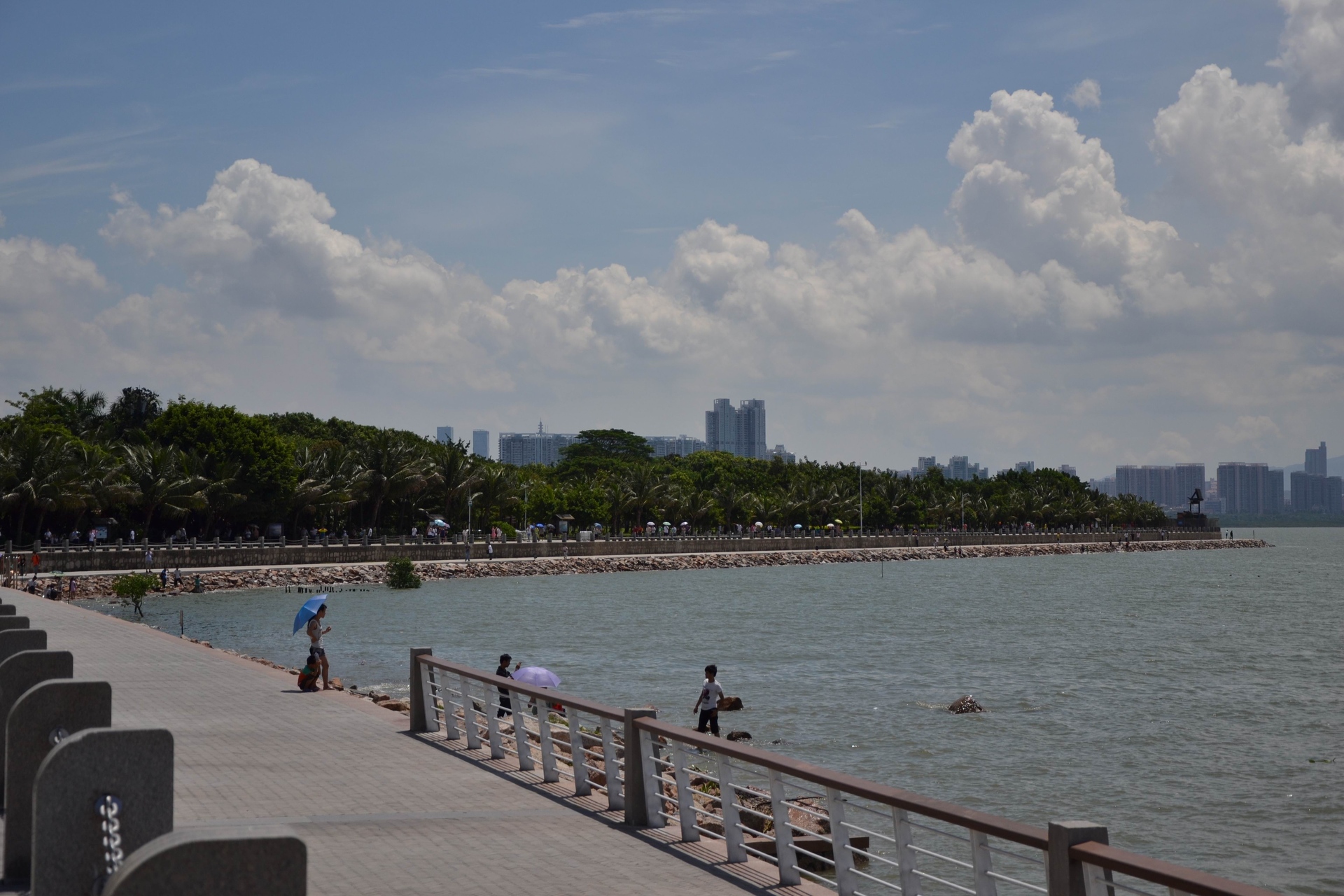 海阔天空(深圳湾海滨公园)