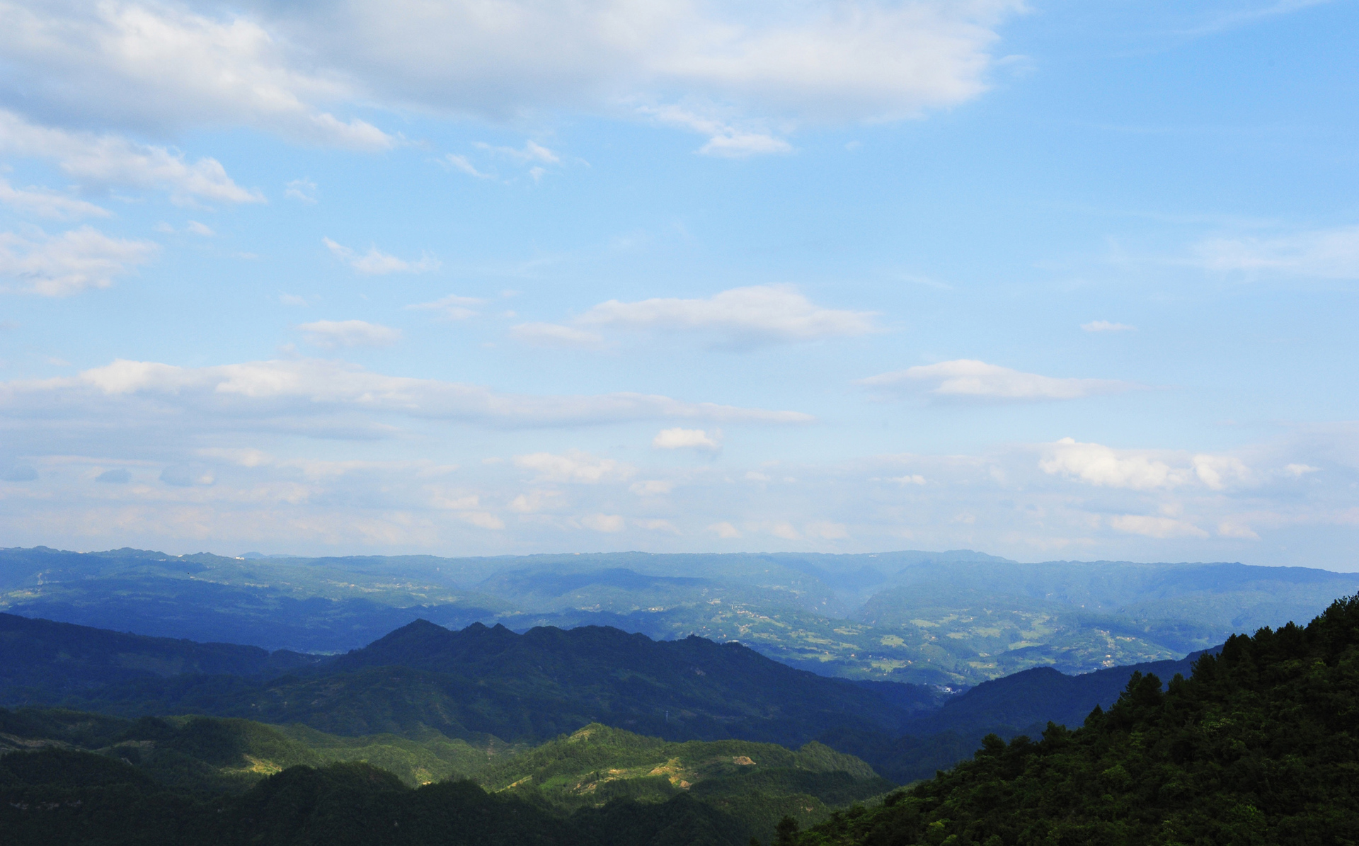 千野草场_尼康d700论坛