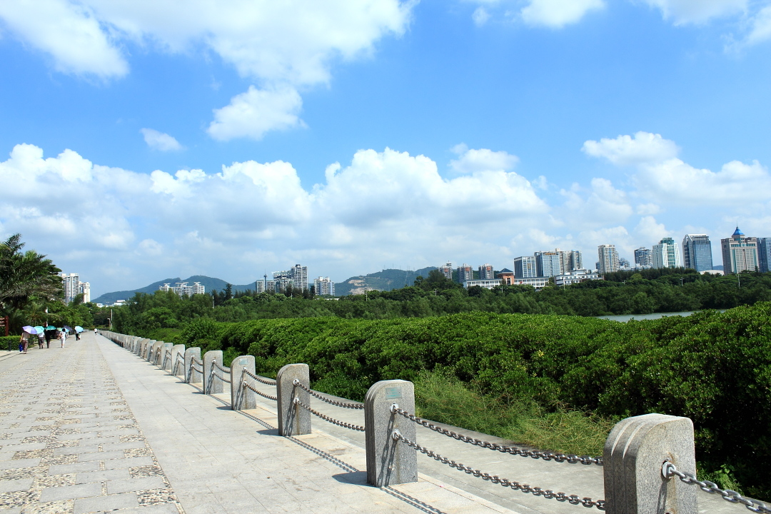 深圳红树林滨海公园