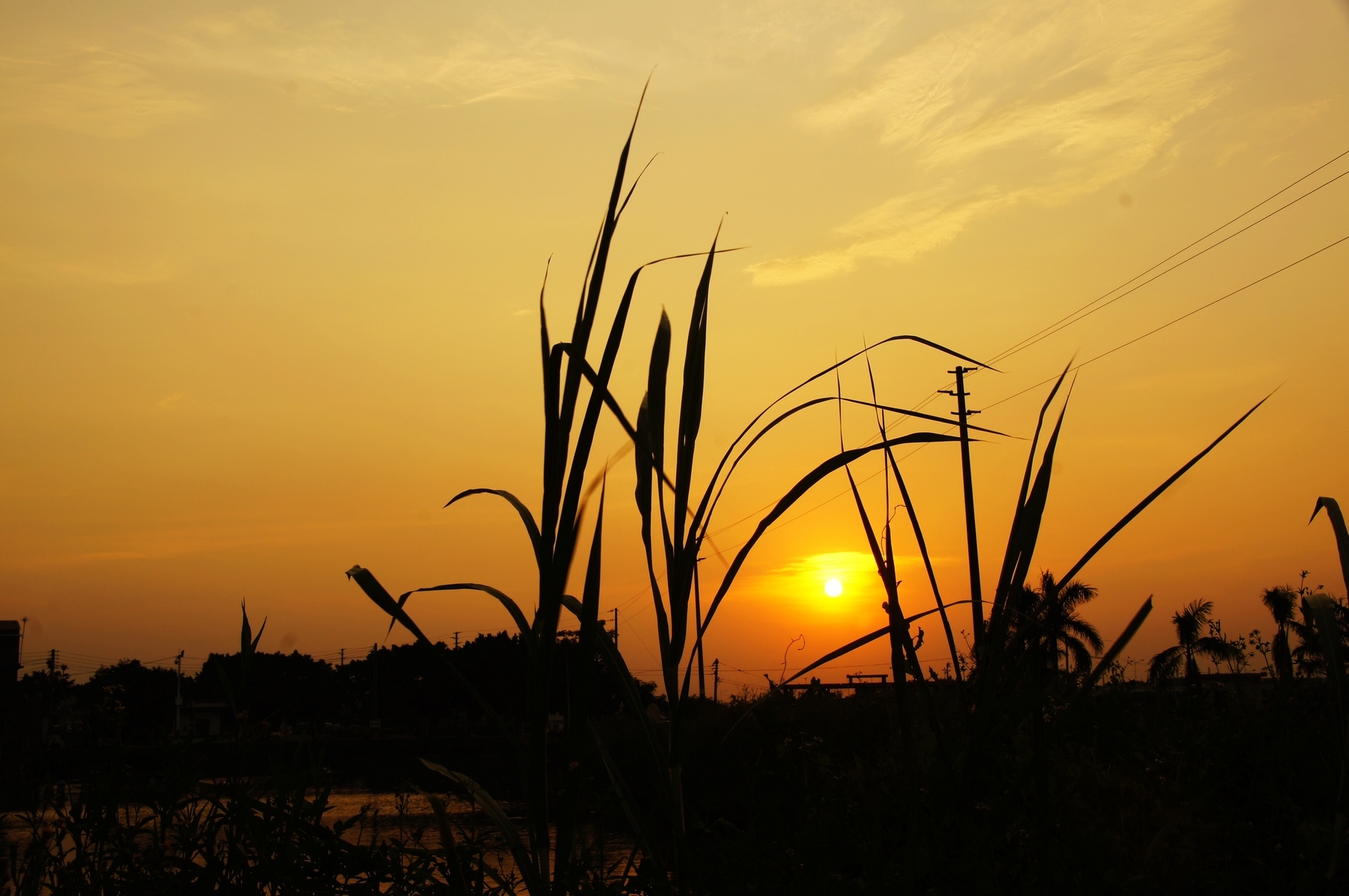 乡村夕阳