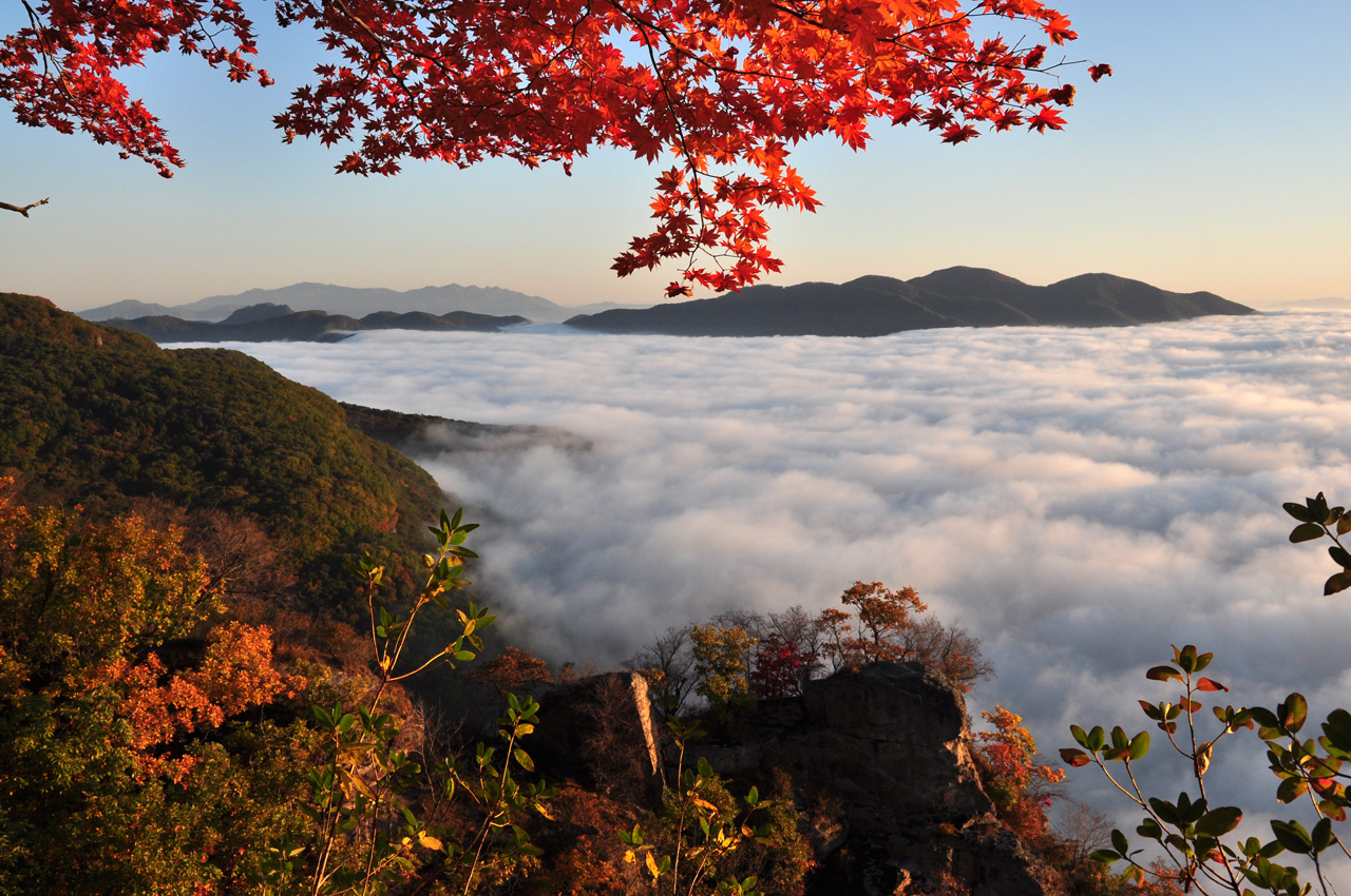 五女山云海枫叶