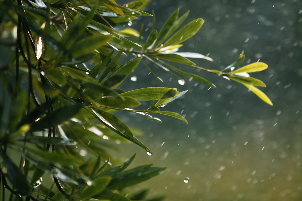 太阳雨(雨珠效果练习)