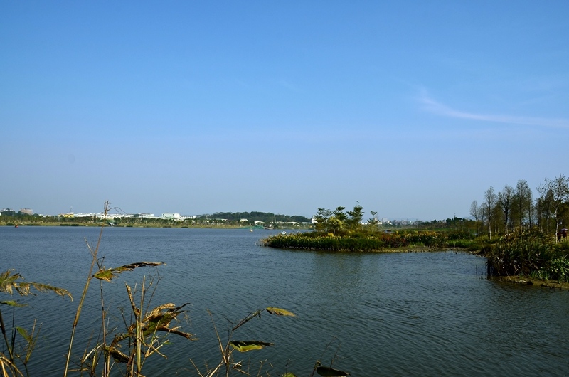 白云湖—广州城区最大的人工湿地公园