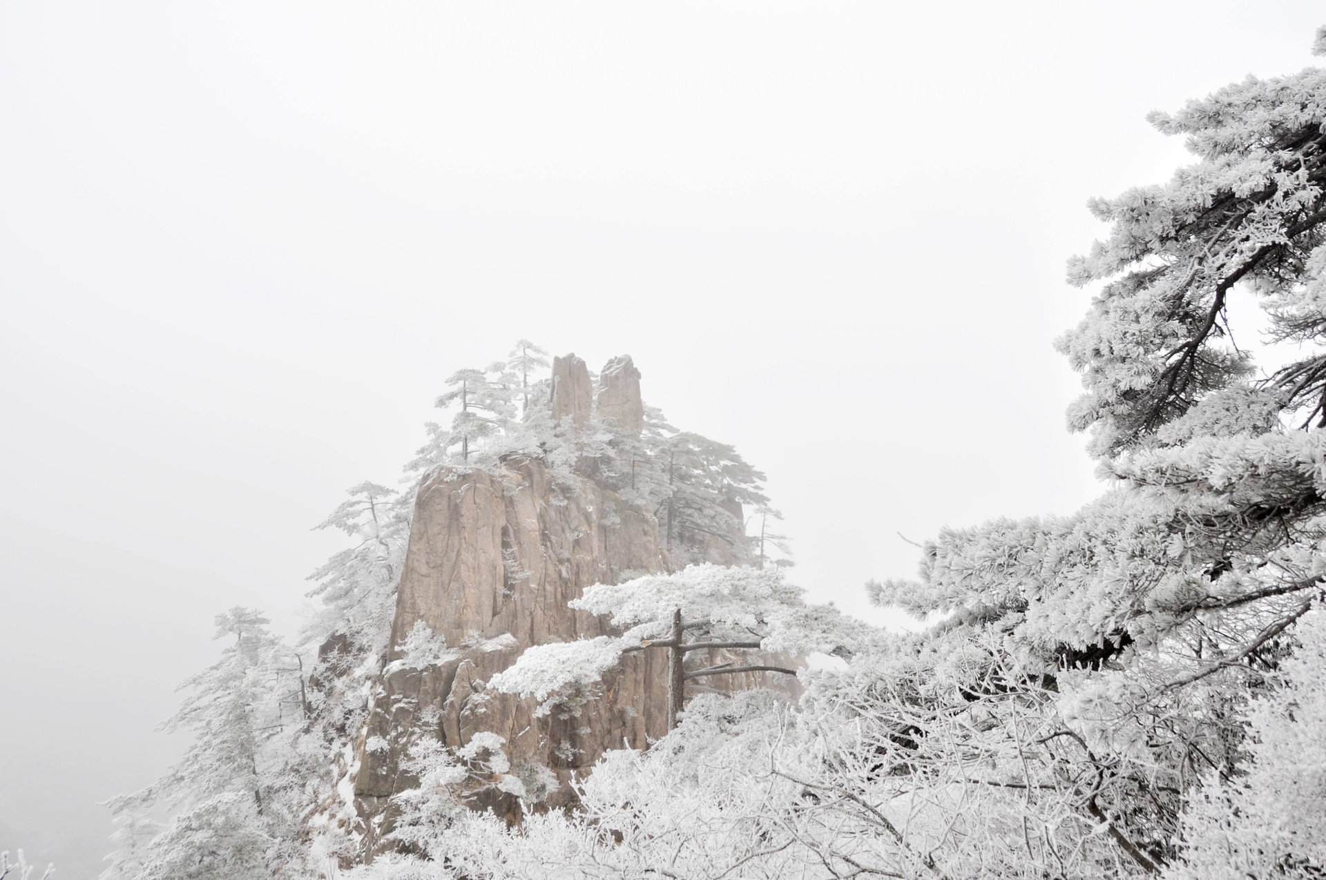 冬季黄山(1)