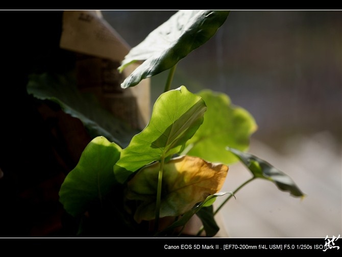 新人，献丑了，博然随拍—小舟从此逝，关山复斜阳 (组图)_佳能5D Mark II论坛_太平洋电脑网产品论坛