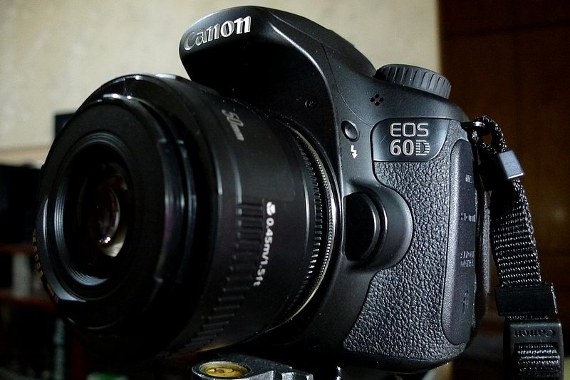 60D+海鸥DF变焦镜头拍微距--(更新了)_佳能6