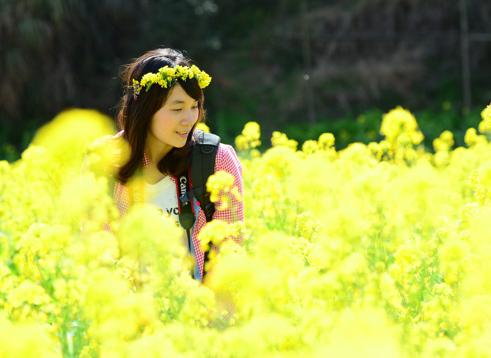 小竹炮打踏春的美女和bee(原片)