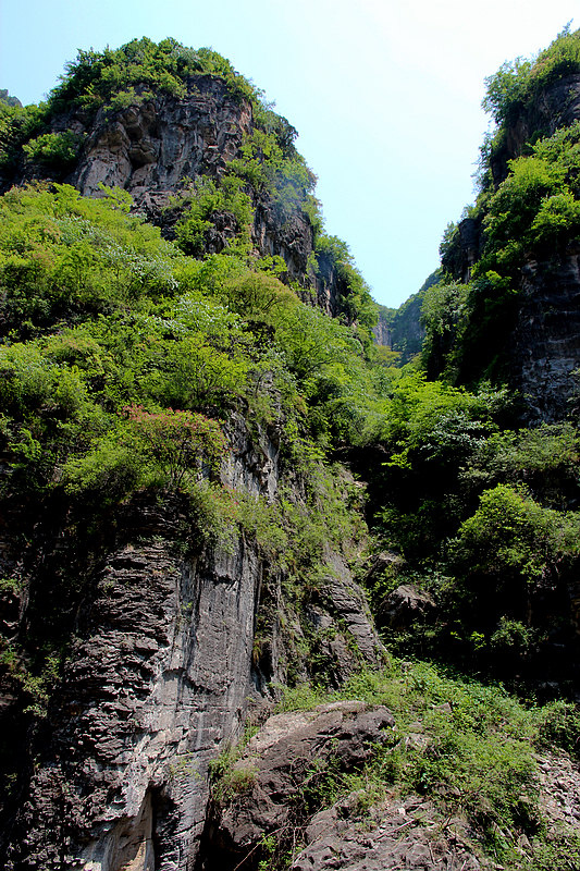 山西陵川黑猫沟