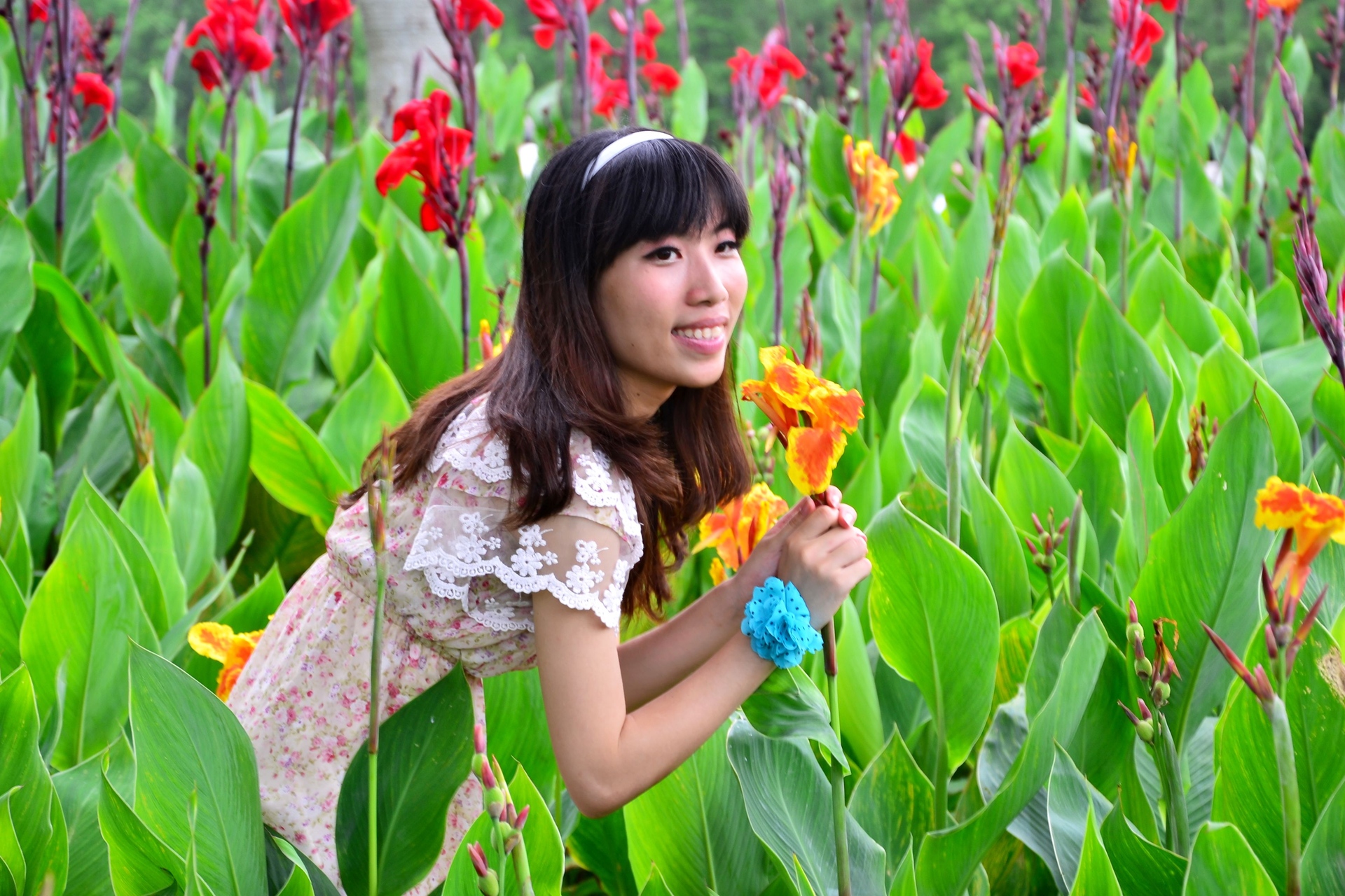 花丛中的美女