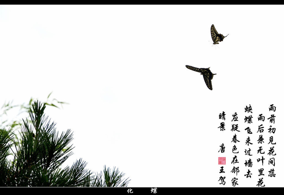 化蝶
