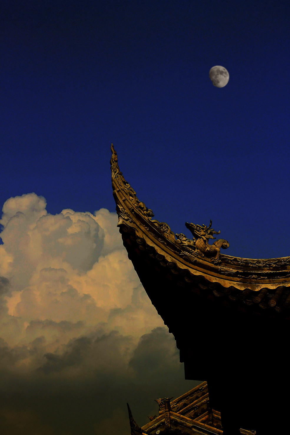 初入小痰拍风景_小痰盂50mmf1.8论坛