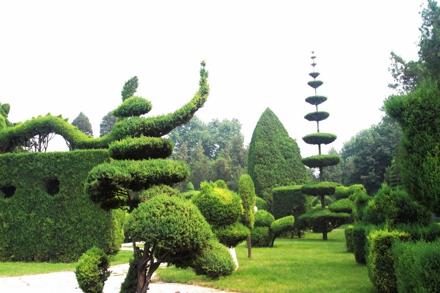淮阳独秀园