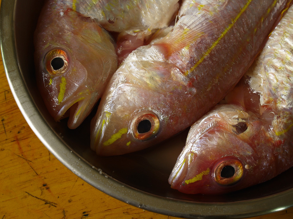 红三鱼和胡萝卜(大图)