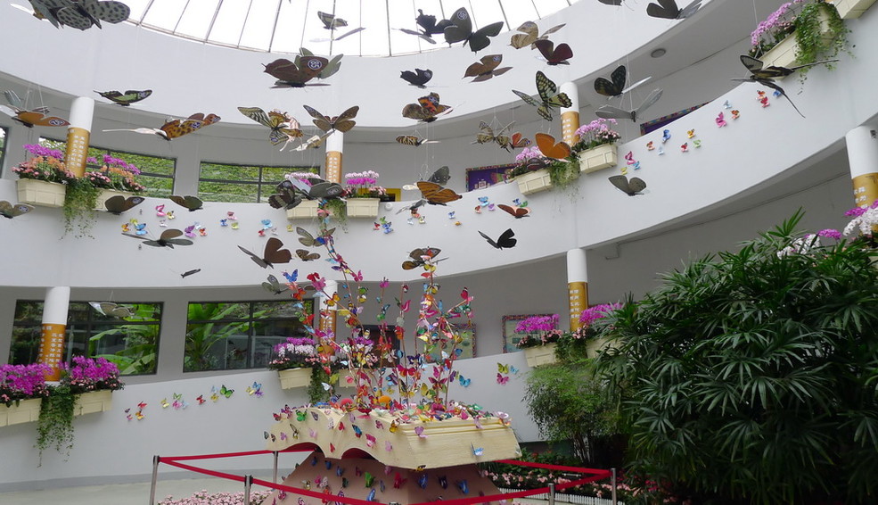 上海动物园蝴蝶展(三)