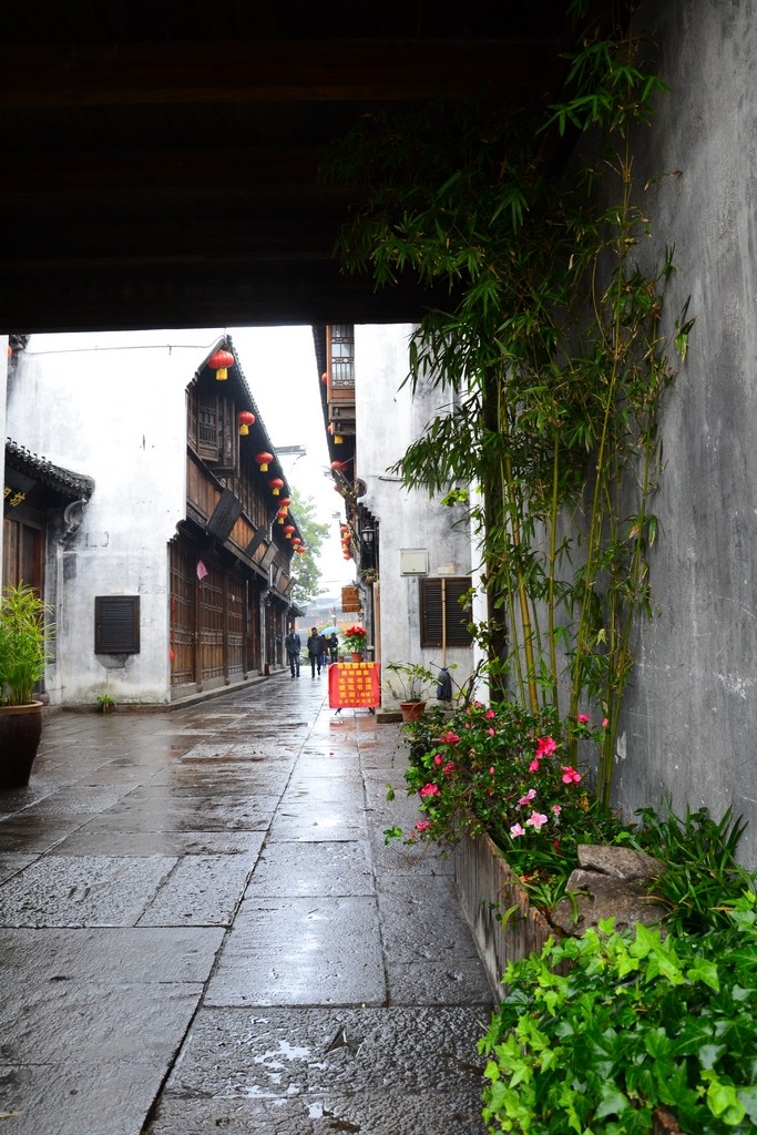 雨中随拍江南小镇