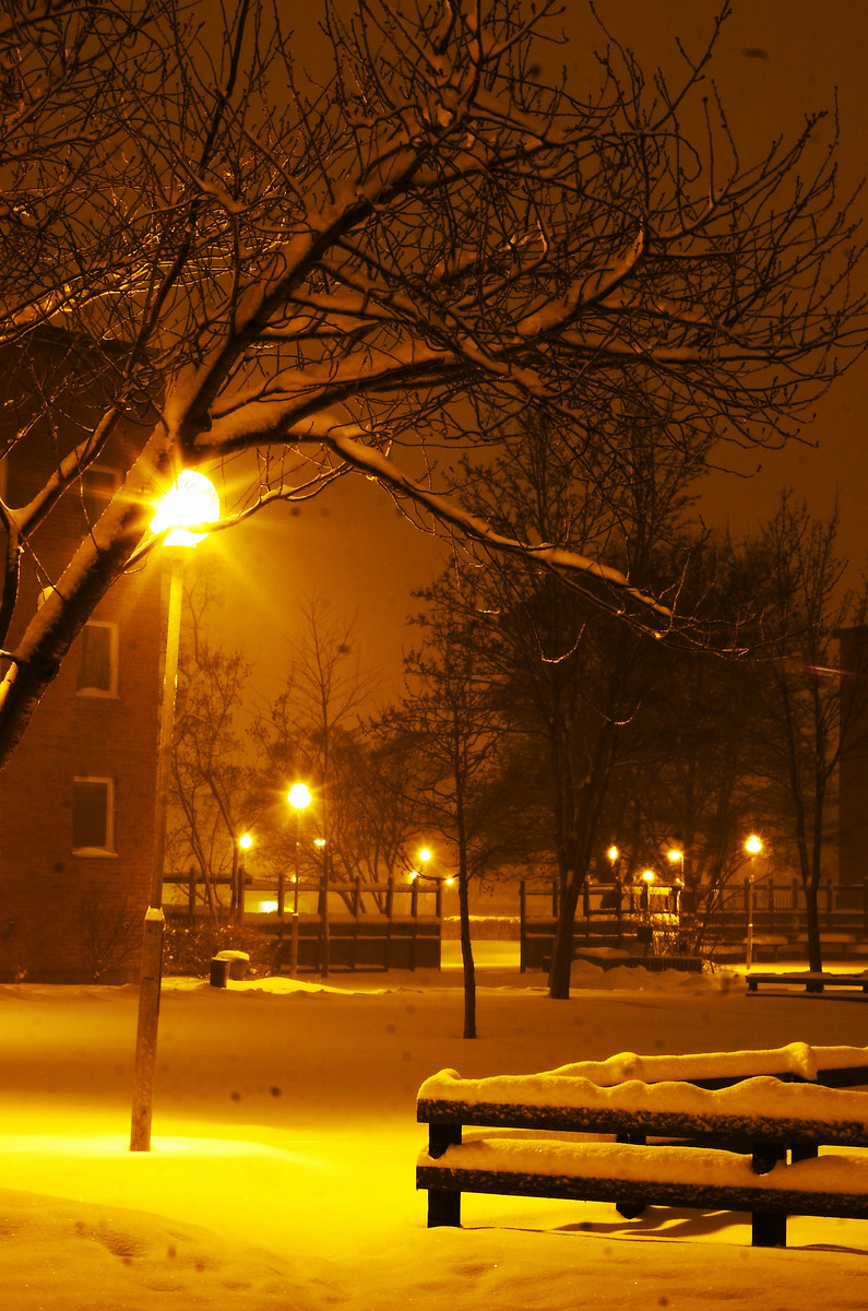 小痰盂-加后期,夜拍雪景两张.请多教.