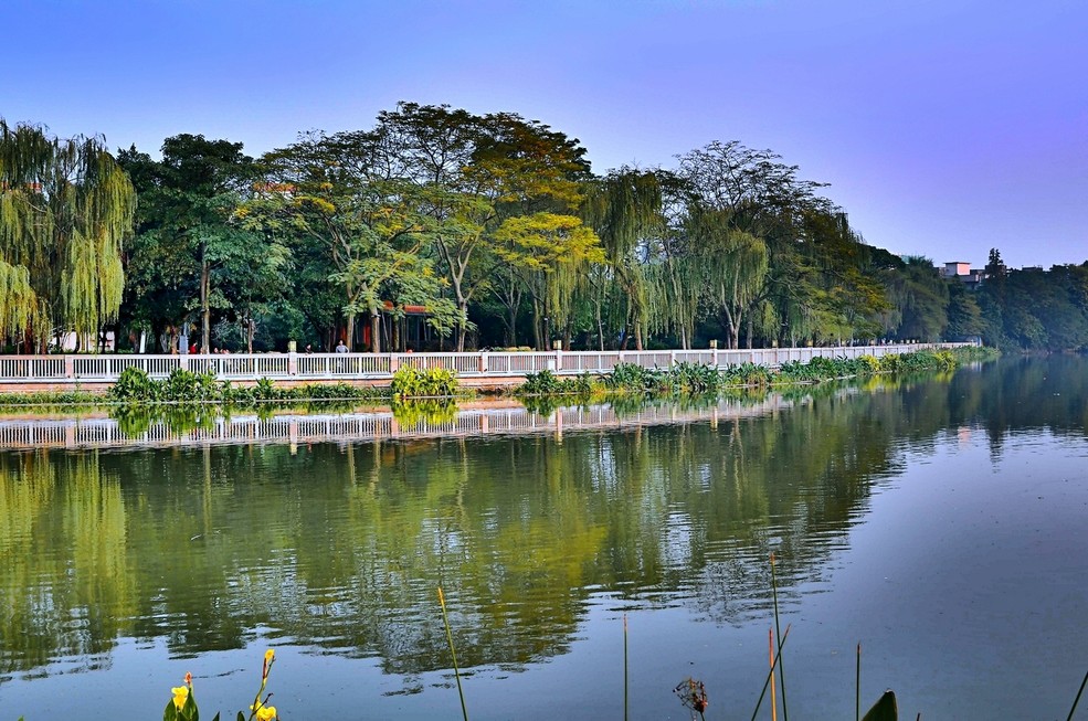 南国风景(拍于南海市里水镇)