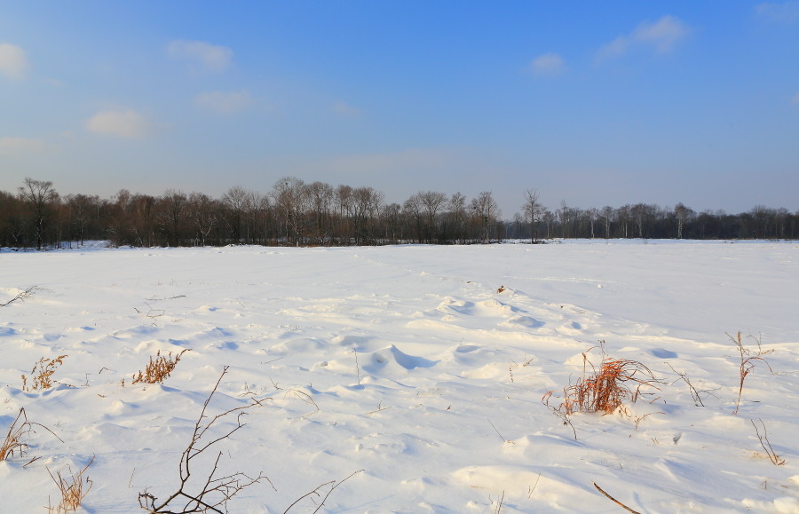 雪野茫茫