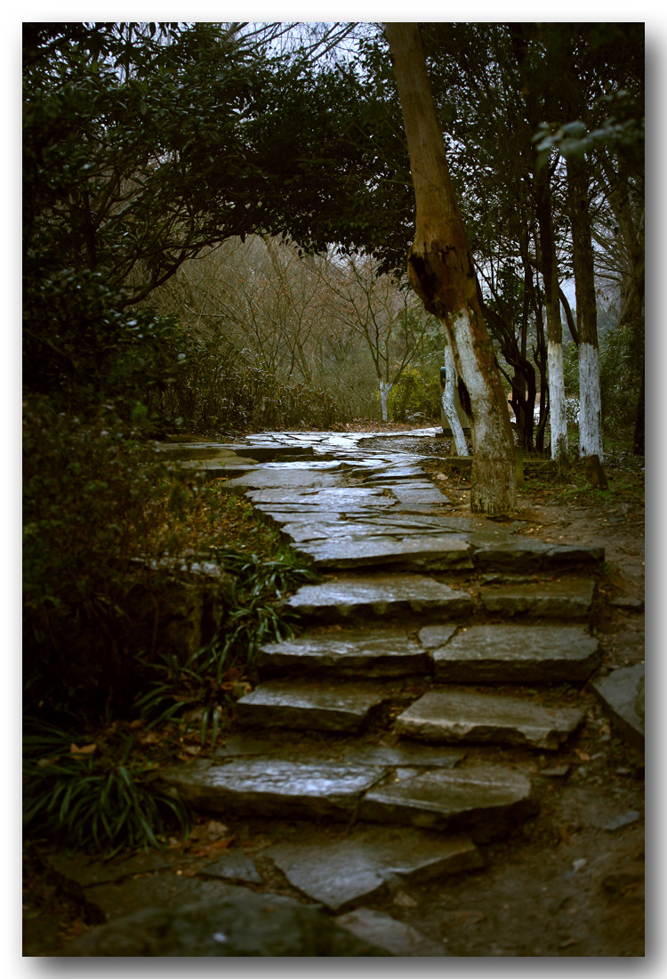 雨中小路