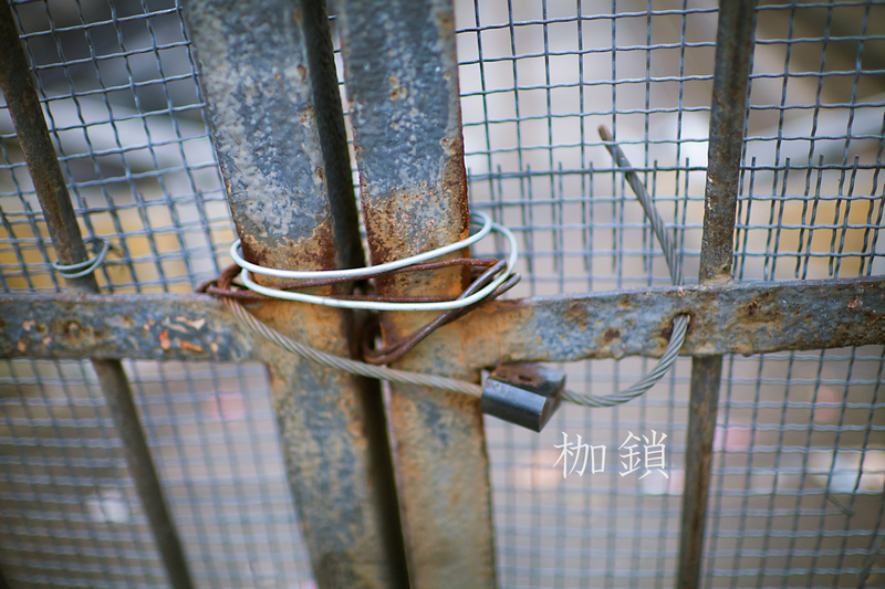 我们的生活,总会遇上对对与错,黑与白,不同的人