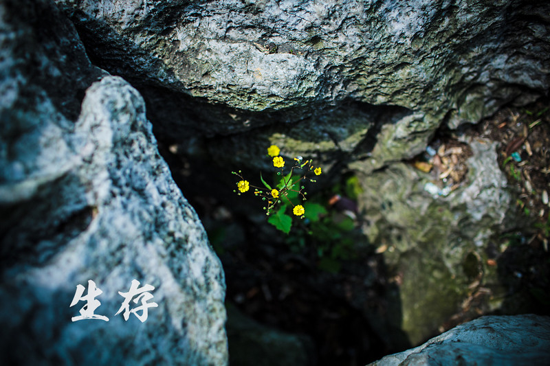 我们的生活,总会遇上对对与错,黑与白,不同的人