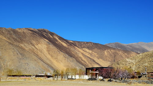 南木林雍仲林寺