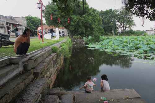 花都炭步镇林芝的头村池,有下雨呀美食荷花点评大众图片