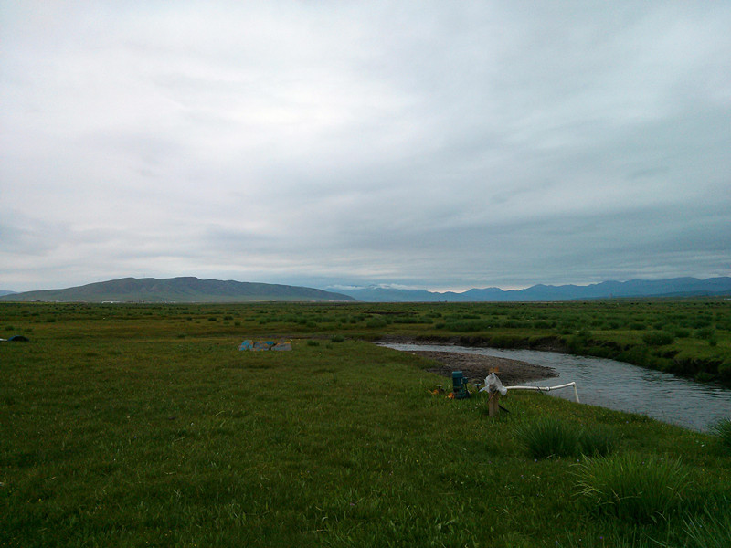 这天气要下雨了,采蘑菇没采到,小失望。_手机