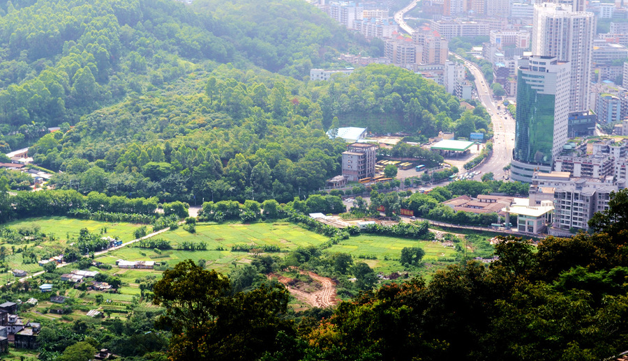 登高望远 小城风景 (共p)