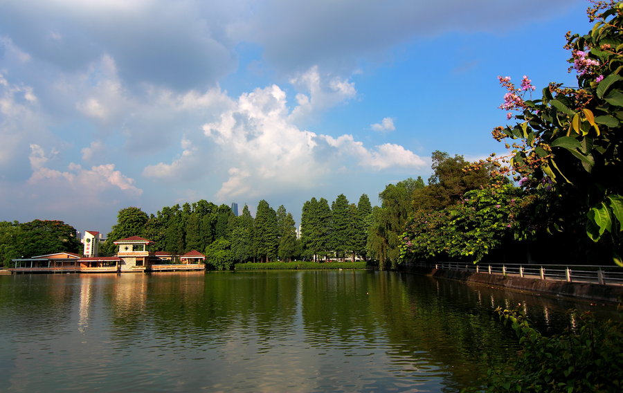 广州东湖公园锦鲤湖 (共 5 p)