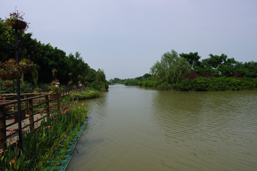 广州南沙湿地公园一游