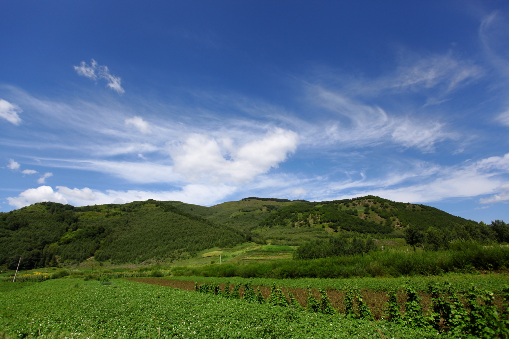 河北承德木兰围场