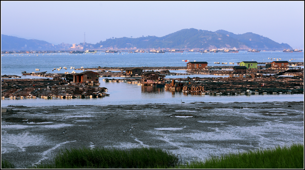 渔排盛景