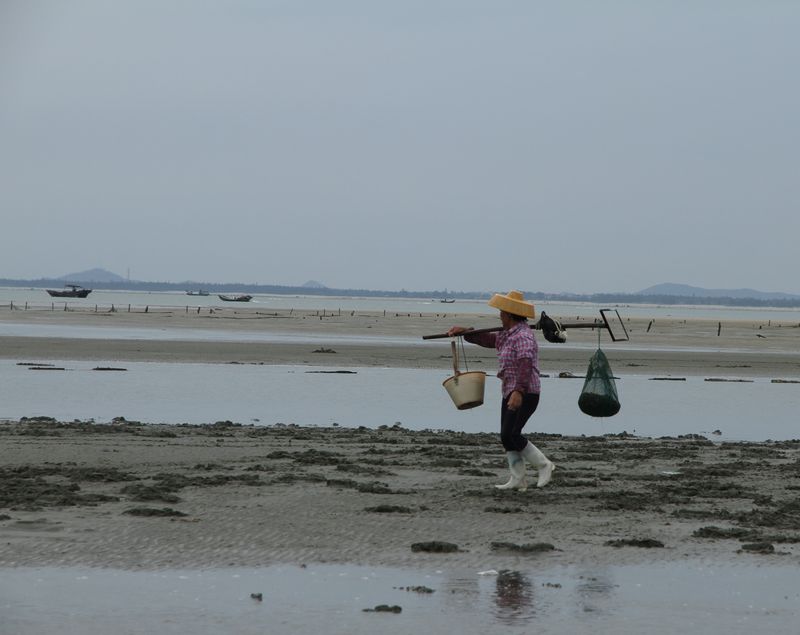 台风过后去赶海