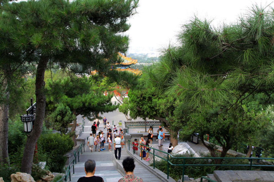【在北京景山公园的万春亭俯瞰紫禁城摄影图片