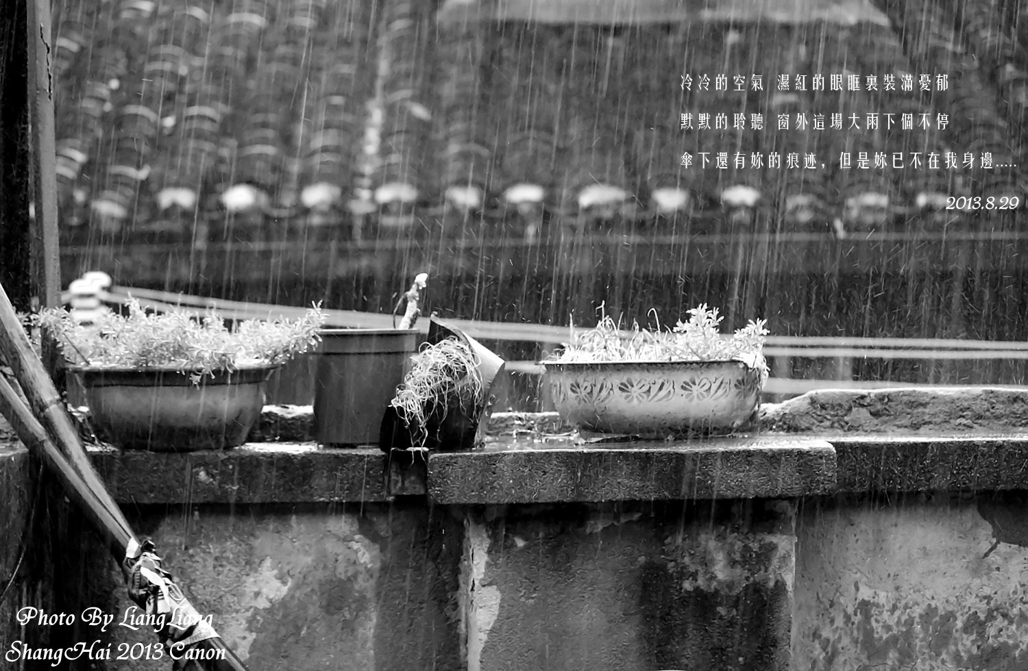 【灵感随拍】雨的哭泣(8.29上海刚刚的大雨),摄影:良良