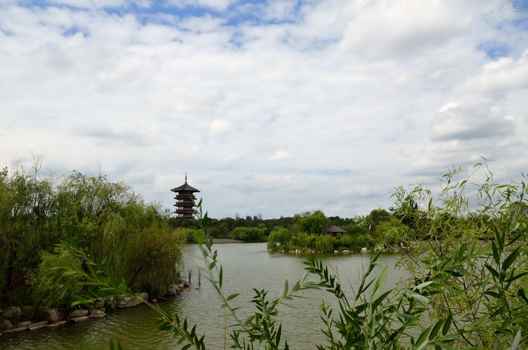 湿地公园美景