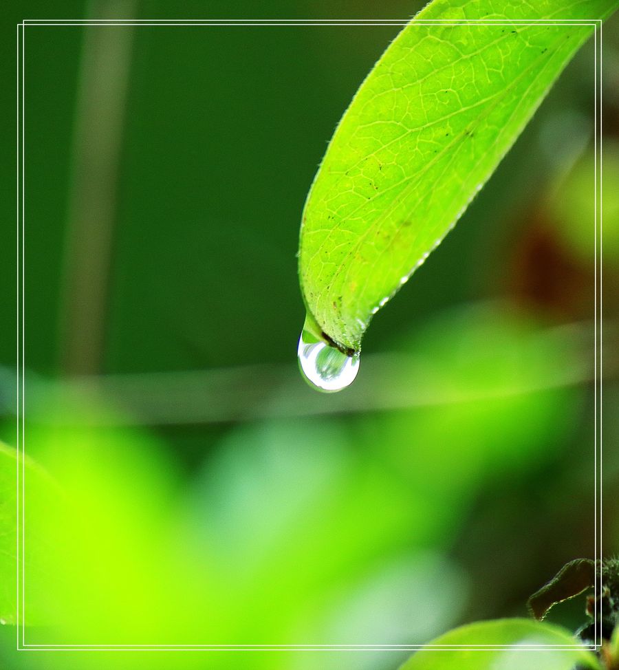 雨水