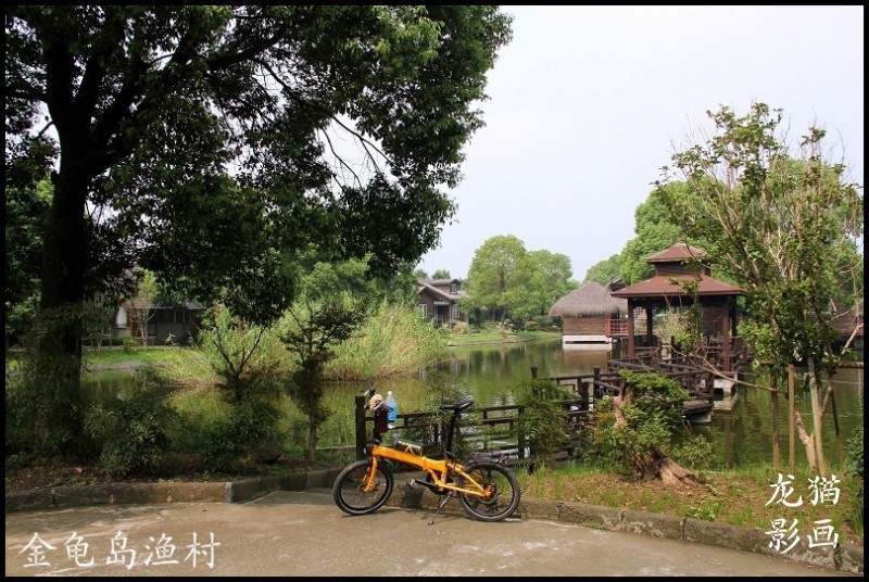 【上海青浦金龟岛渔村摄影图片】风光旅游摄影