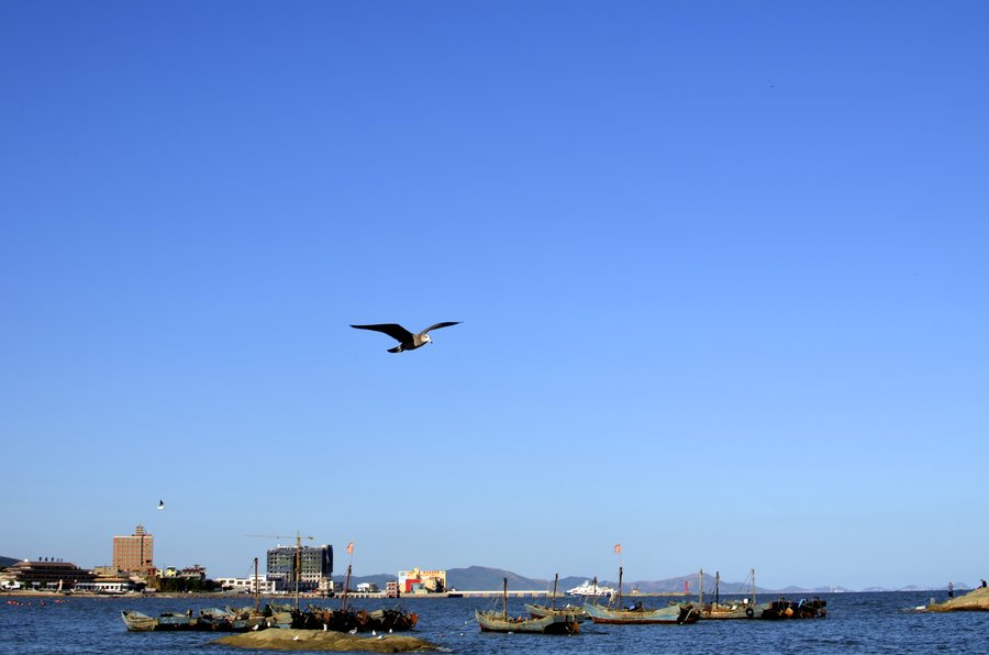 【葫芦岛海边摄影图片】风光摄影