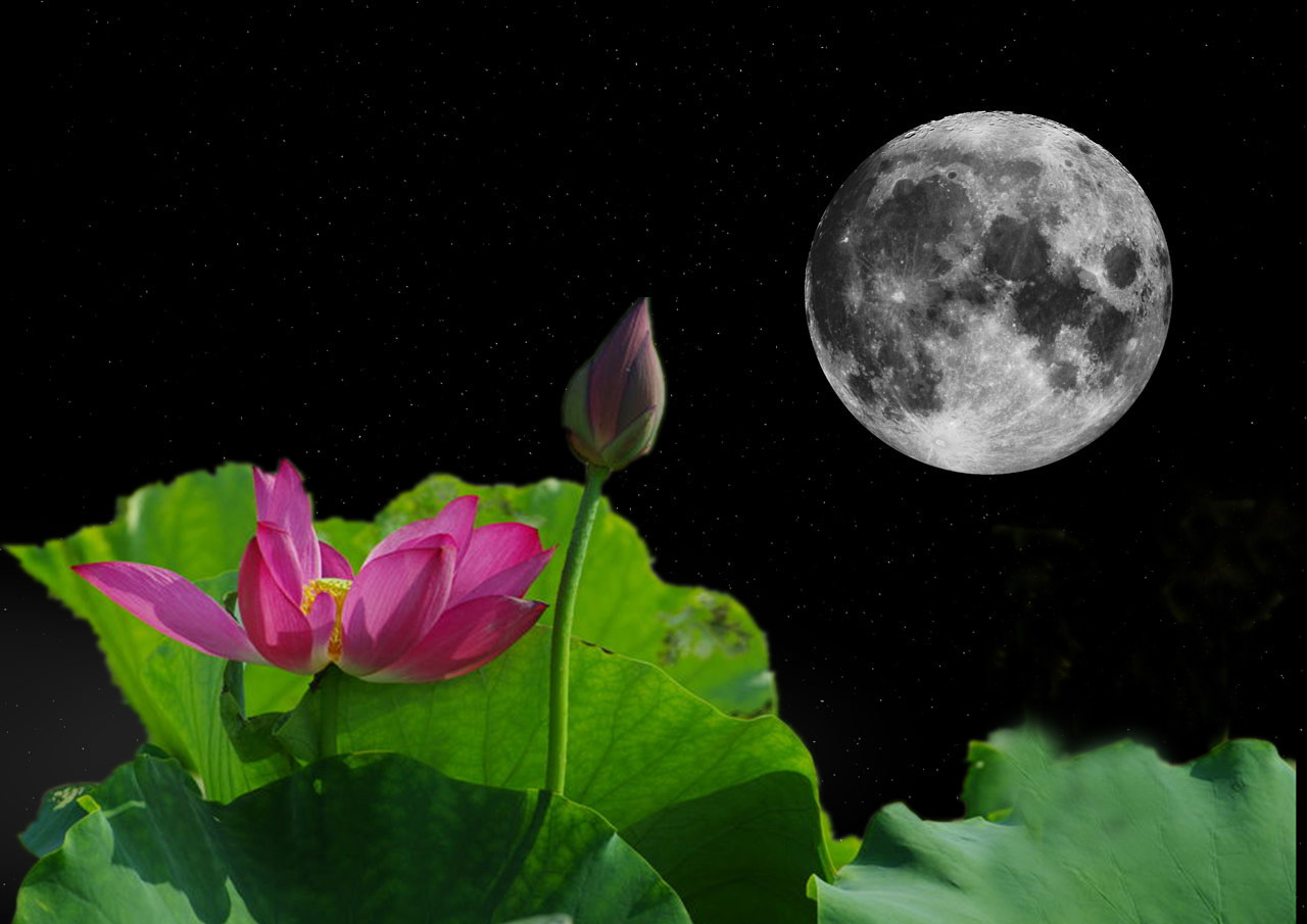 花好月圆-----祝宾友中秋快乐 家庭幸福(借用了留版等摄友的佳作在此